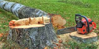Best Stump Grinding and Removal  in Mount Hermon, CA